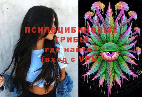 бошки Каменск-Шахтинский